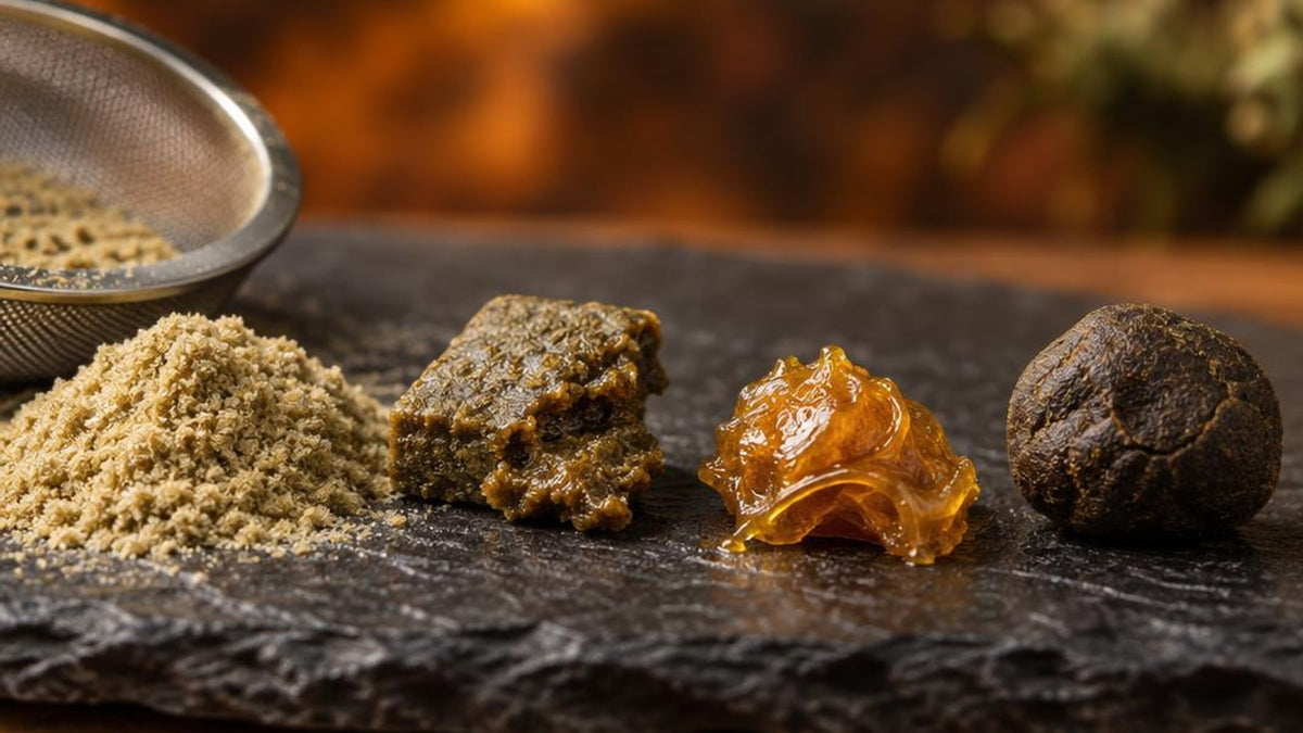 Quatre résines CBD obtenues par des méthodes d'extraction différentes : dry sift, ice-o-lator, rosin et charas Image
