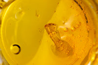 WAX CBD