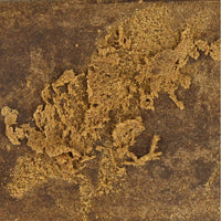 SUPER DRY CBG